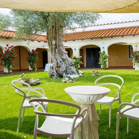 Tenuta Amalthea Villa Sessa Aurunca Buitenkant foto