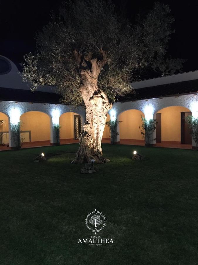 Tenuta Amalthea Villa Sessa Aurunca Buitenkant foto