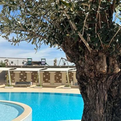 Tenuta Amalthea Villa Sessa Aurunca Buitenkant foto